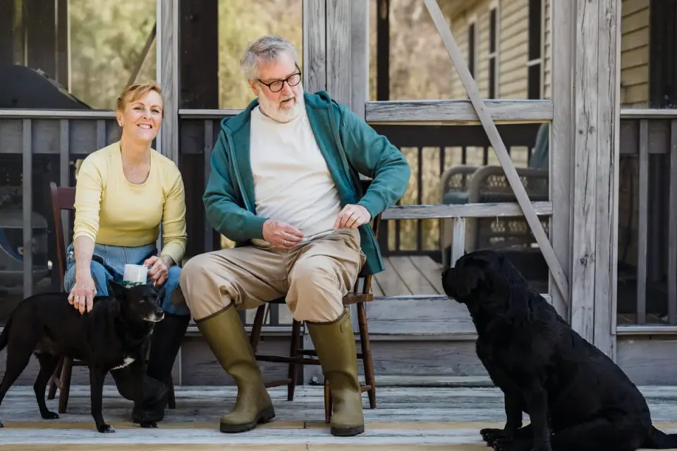 A veterinarian checking a senior dog&#x27;s hip and hind leg range of motion