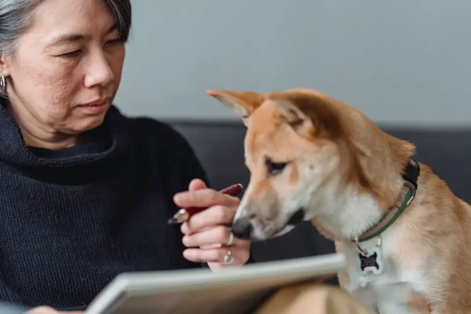 A veterinarian reviewing a printed bloodwork panel with a dog owner in an exam room