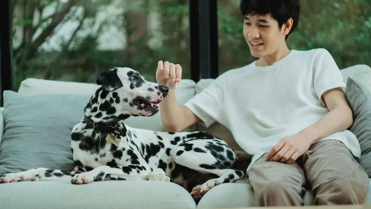 Dog eating from a bowl at home