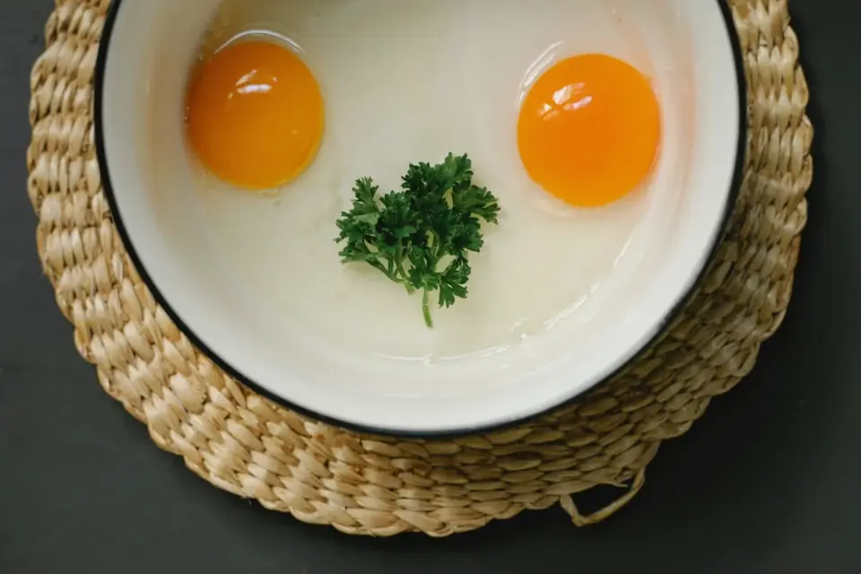 Dog eating from a bowl at home