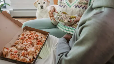 Dog eating from bowl at home
