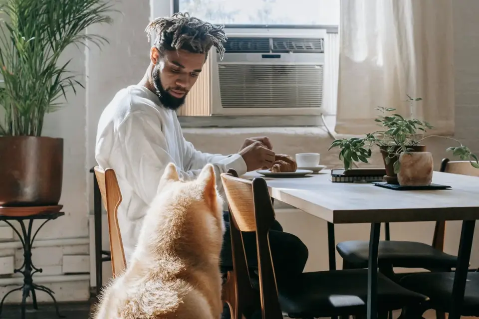 Dog in a kitchen with an owner
