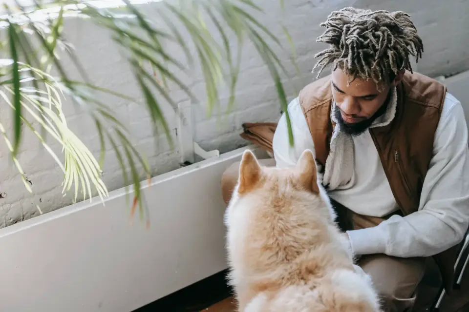 Dog in a kitchen with an owner