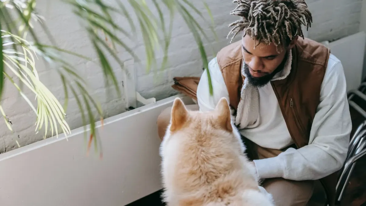 Dog in a kitchen with an owner