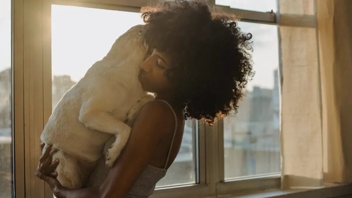 Dog in a kitchen with an owner