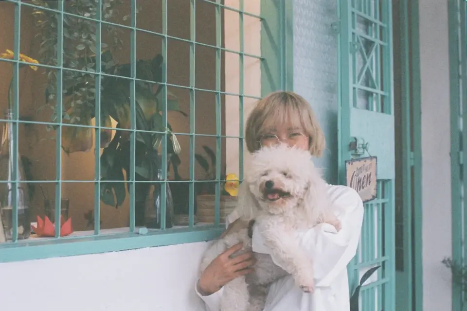 Dog in a kitchen with an owner