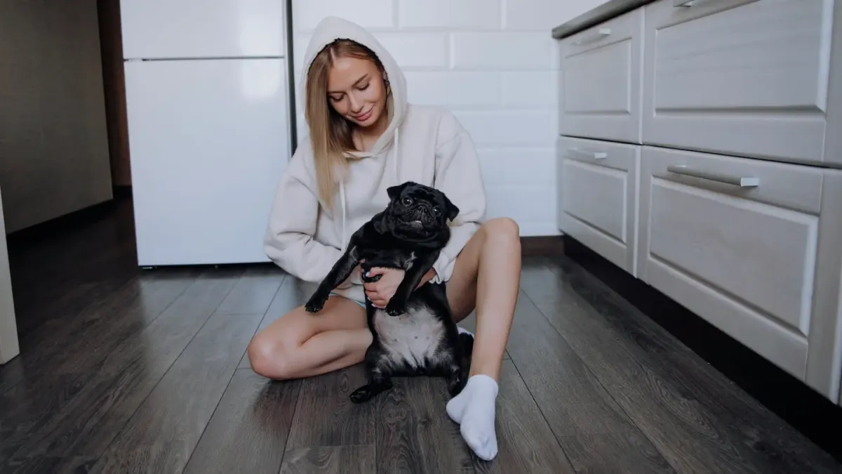 Dog in a kitchen with an owner