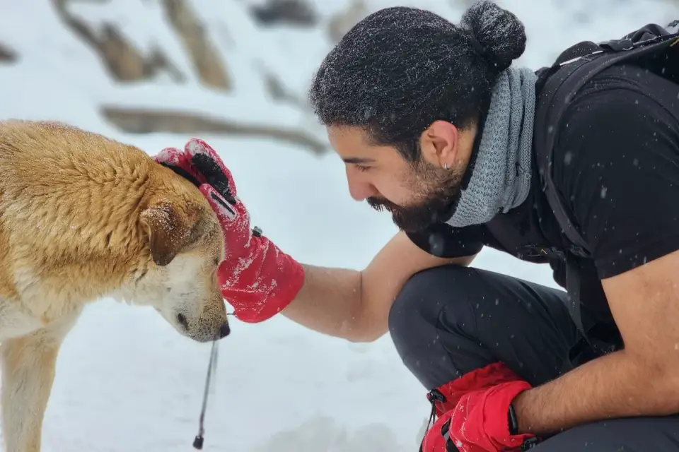 Dog owner preparing a meal