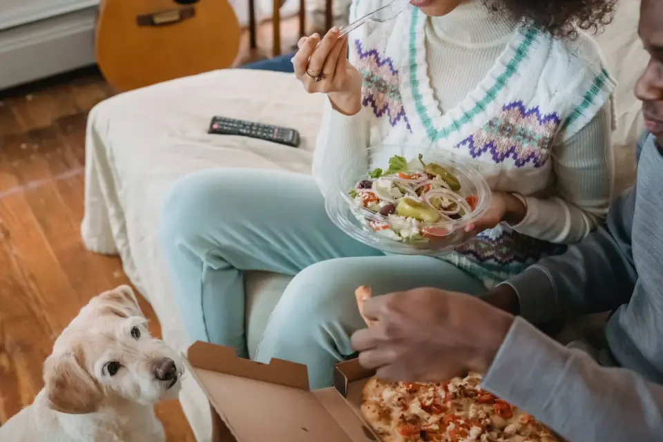 Dog owner preparing a meal