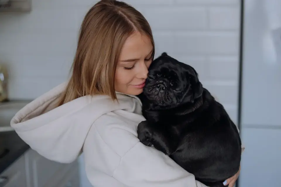 Dog owner preparing a meal