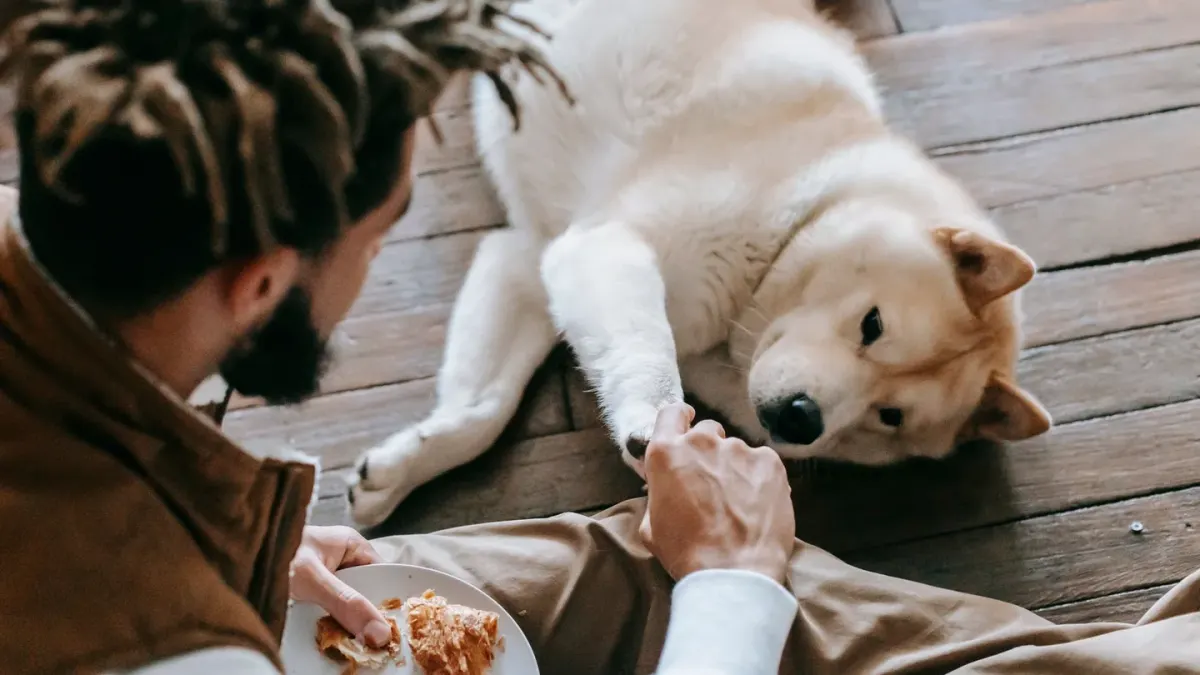 Dog owner preparing a meal