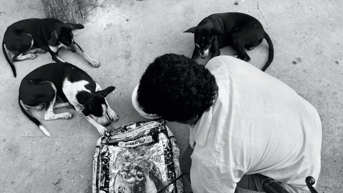 Dog owner preparing a meal