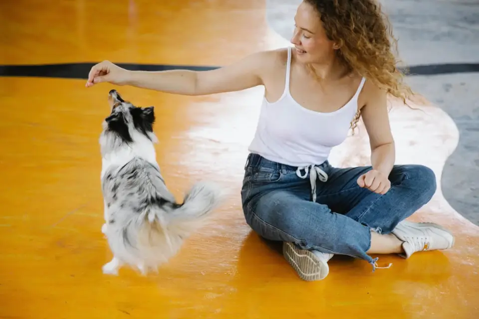 Dog owner preparing a meal