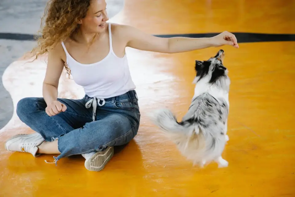 Dog owner preparing a meal
