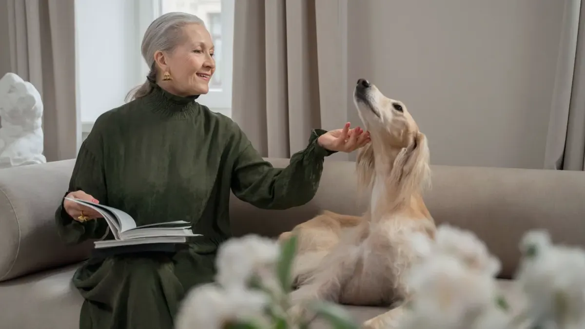 Dog resting beside an owner