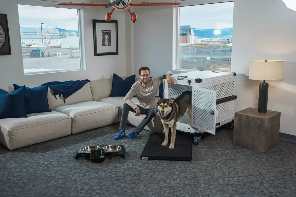 Dog resting beside an owner