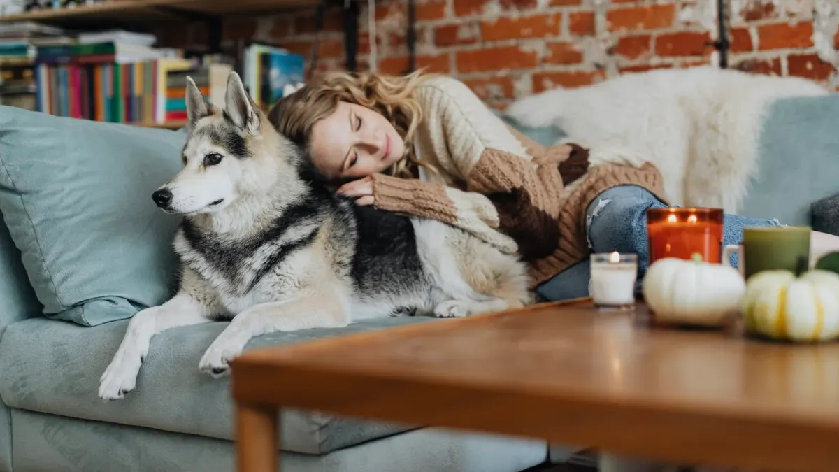 Dog resting beside an owner