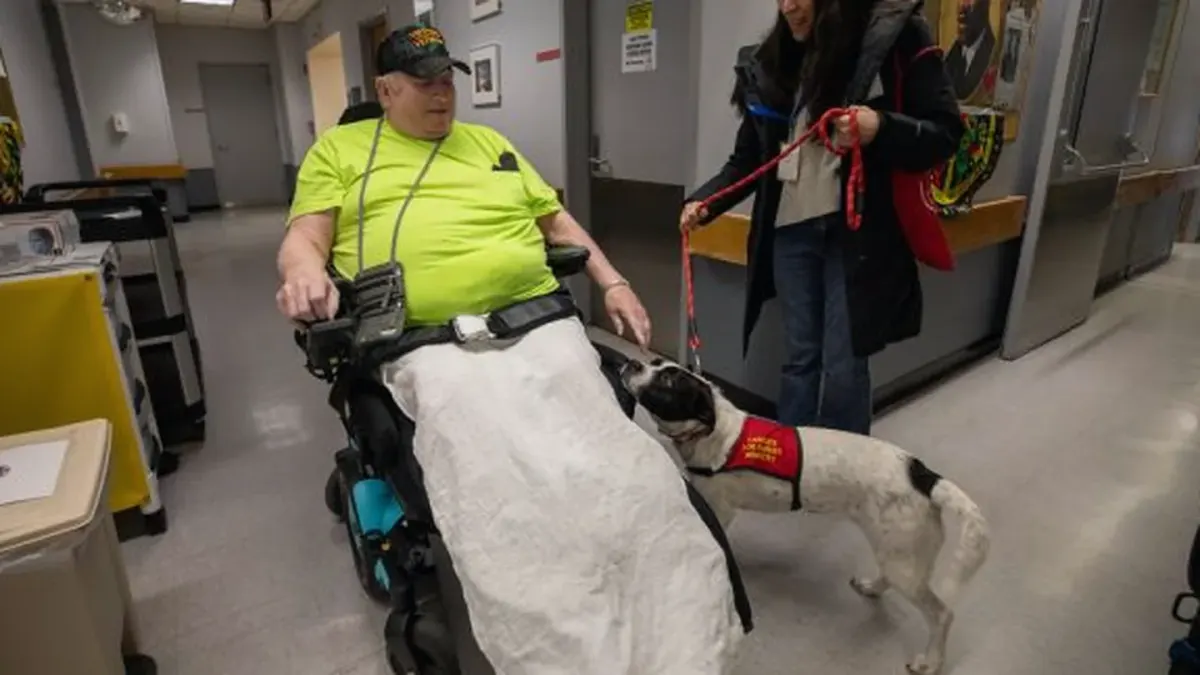 Dog resting beside an owner