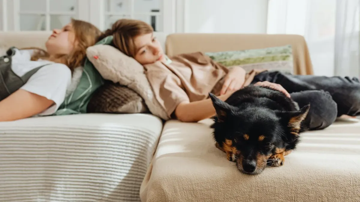 Dog resting beside an owner