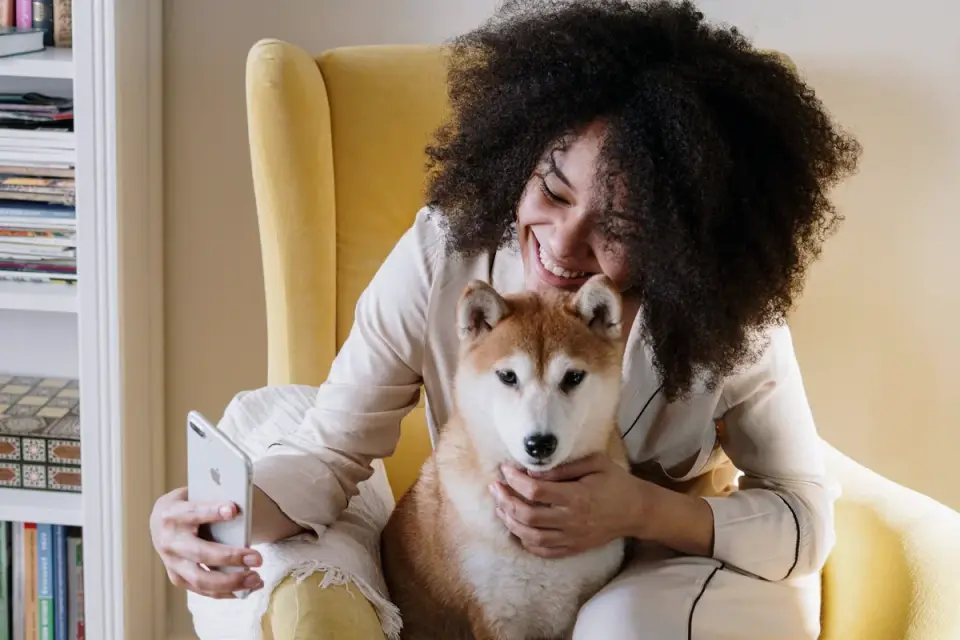 Dog resting beside an owner