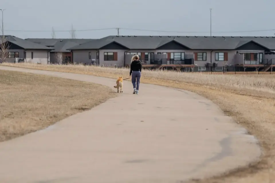 Dog walking with an owner