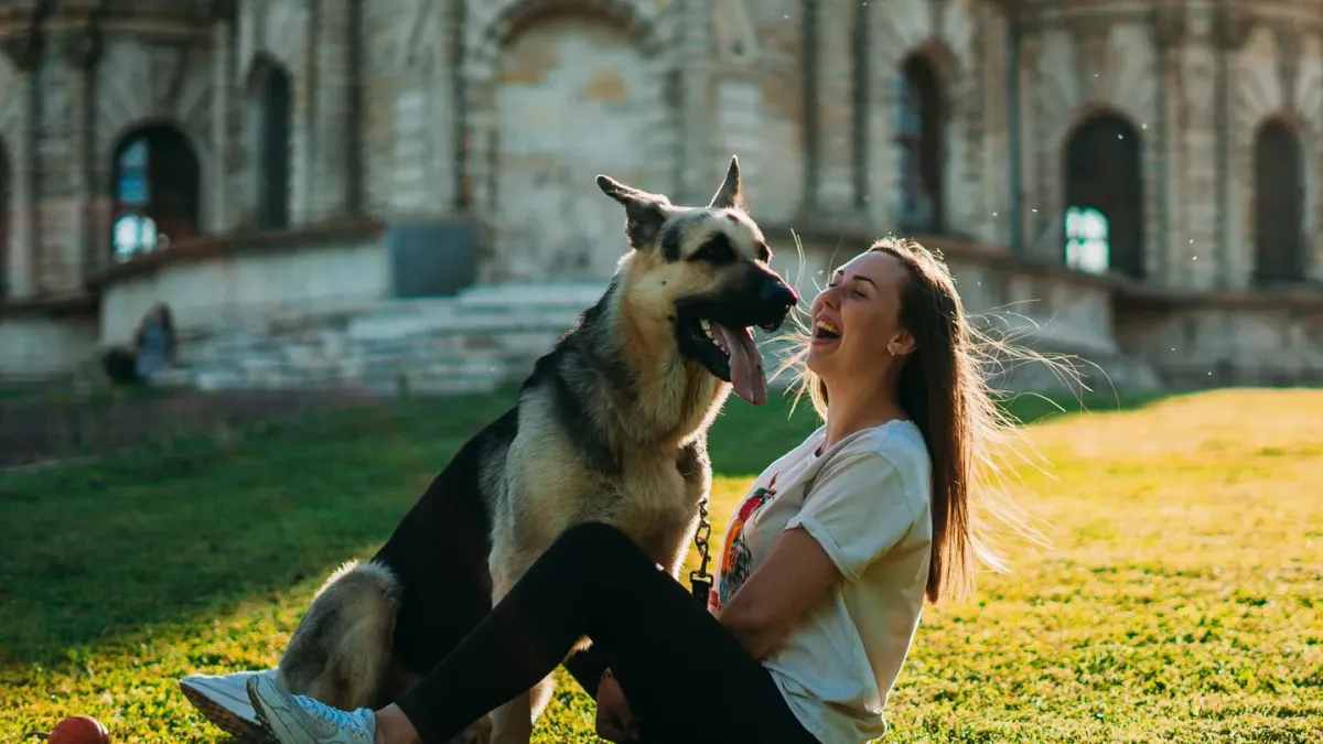 Older dog with an owner in a park