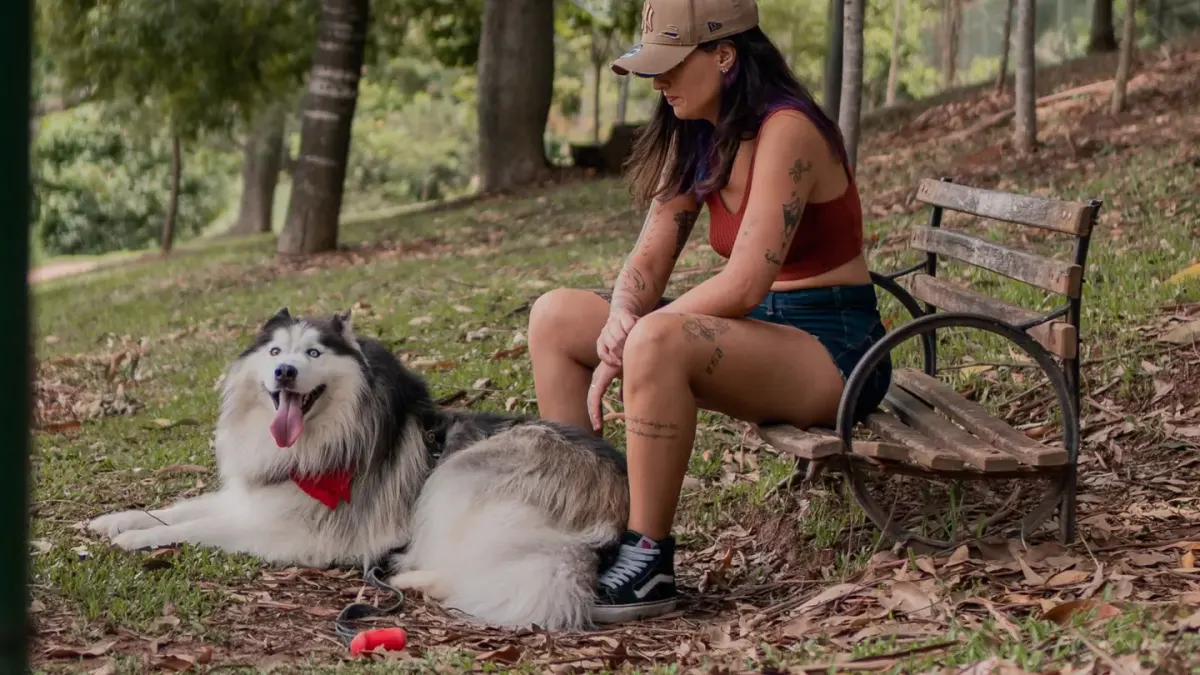 Older dog with an owner in a park