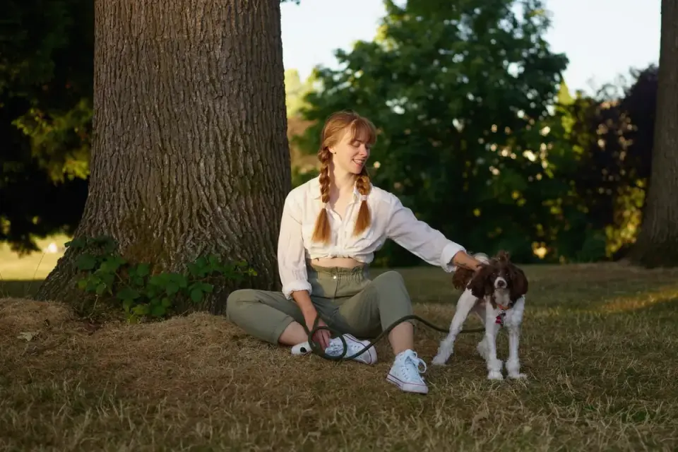 Older dog with an owner in a park
