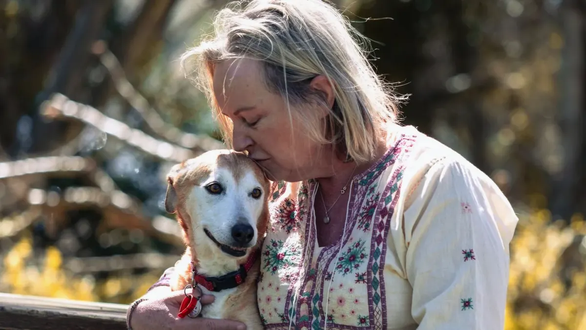 Older dog with an owner in a park