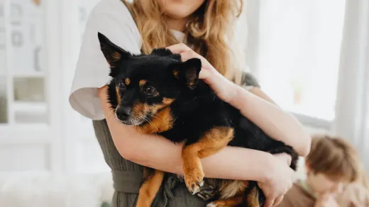 Owner helping a senior dog