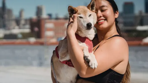 Owner helping a senior dog