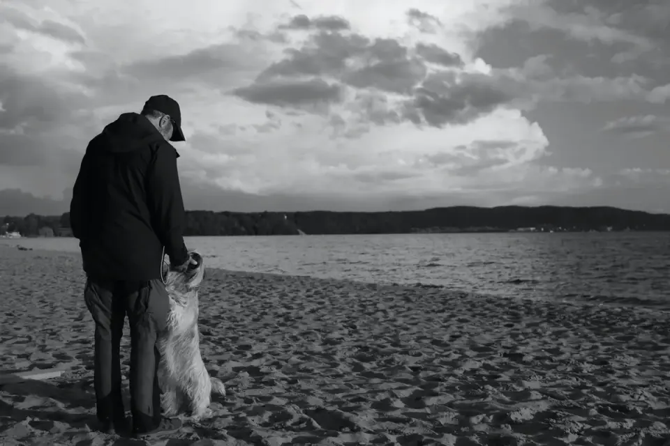 Owner helping a senior dog