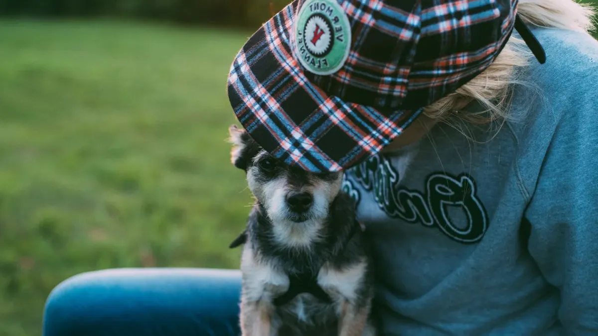 Owner helping a senior dog