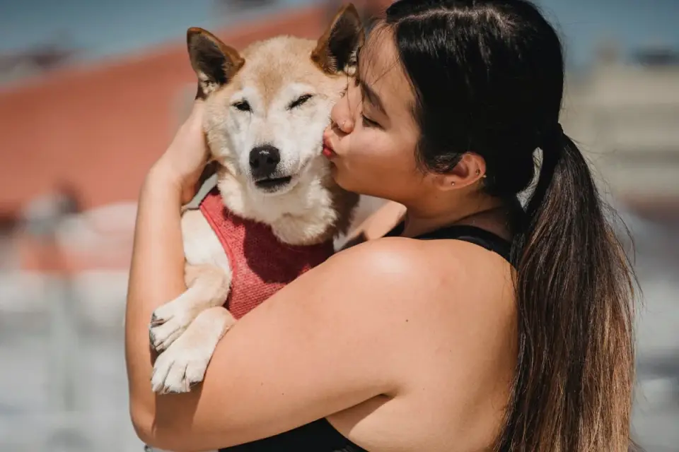 Owner helping a senior dog
