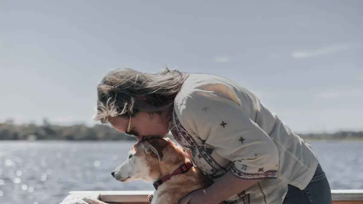 Owner helping a senior dog